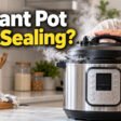 instant_pot_not_sealing